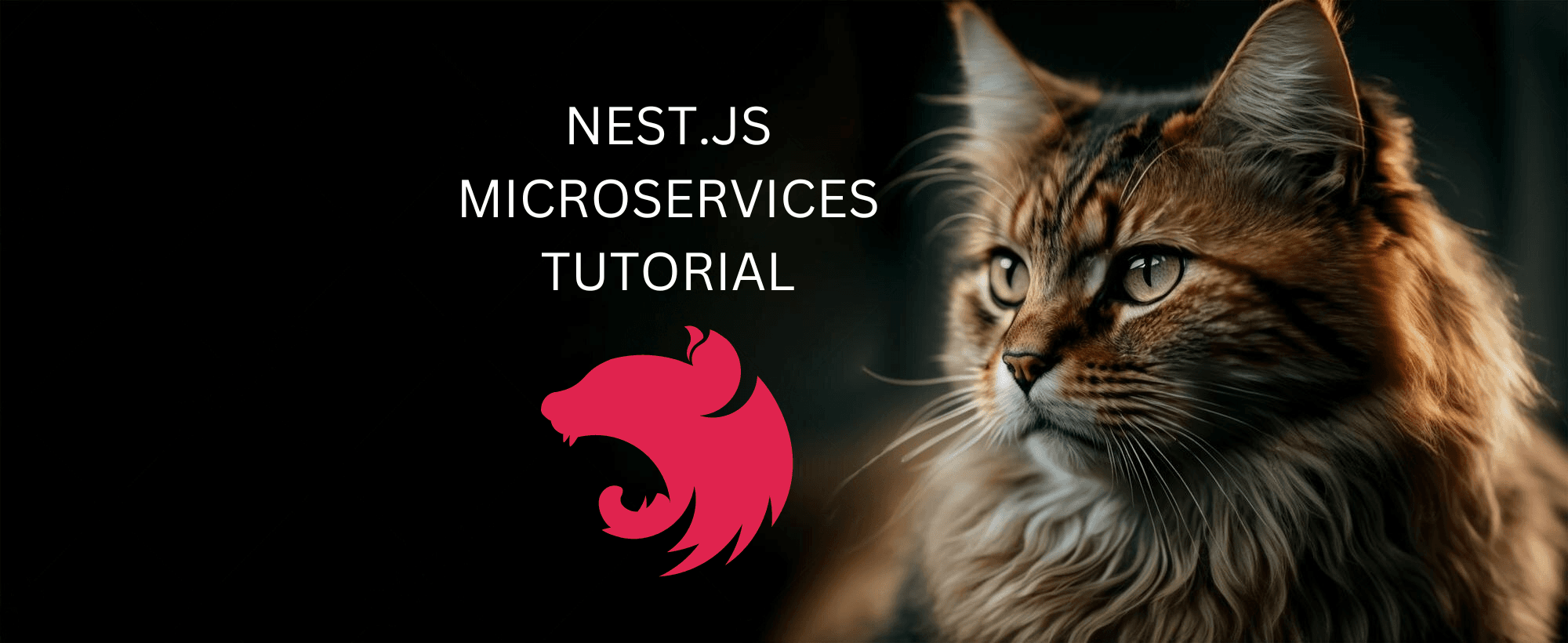 Microservices in NestJS