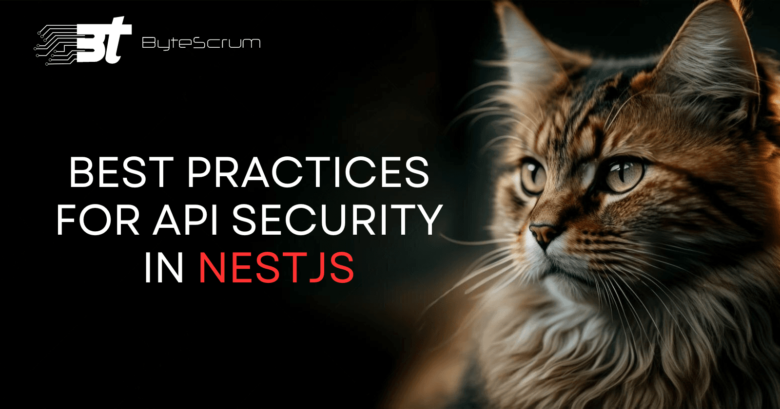 Checking API Vulnerabilities in NestJS: A Comprehensive Guide
