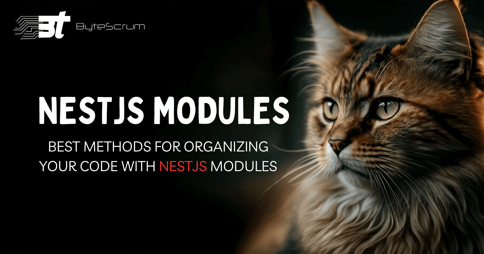 NestJS Module Best Practices for Clean Code Organization